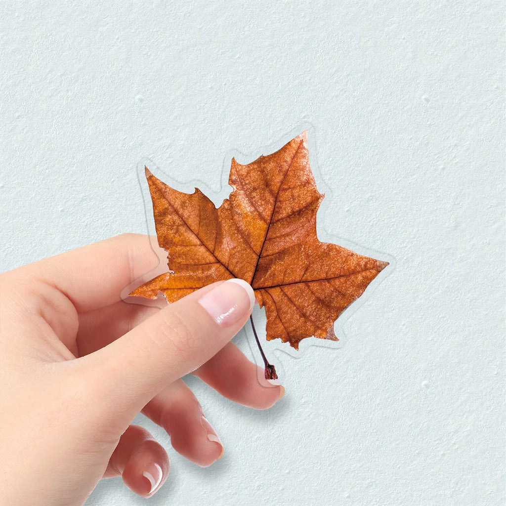 50-Piece Autumn Leaf Sticker Set – Maple & Oak