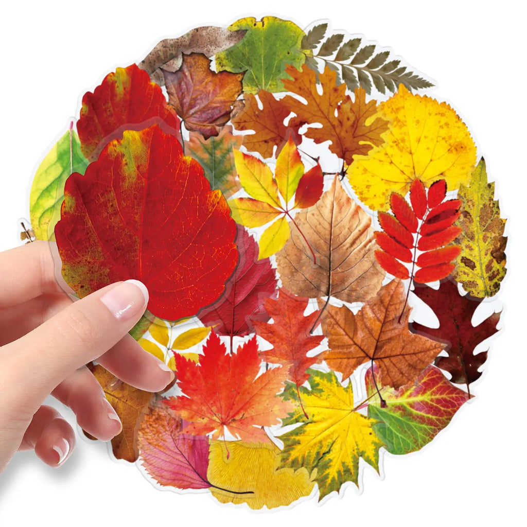 50-Piece Autumn Leaf Sticker Set – Maple & Oak