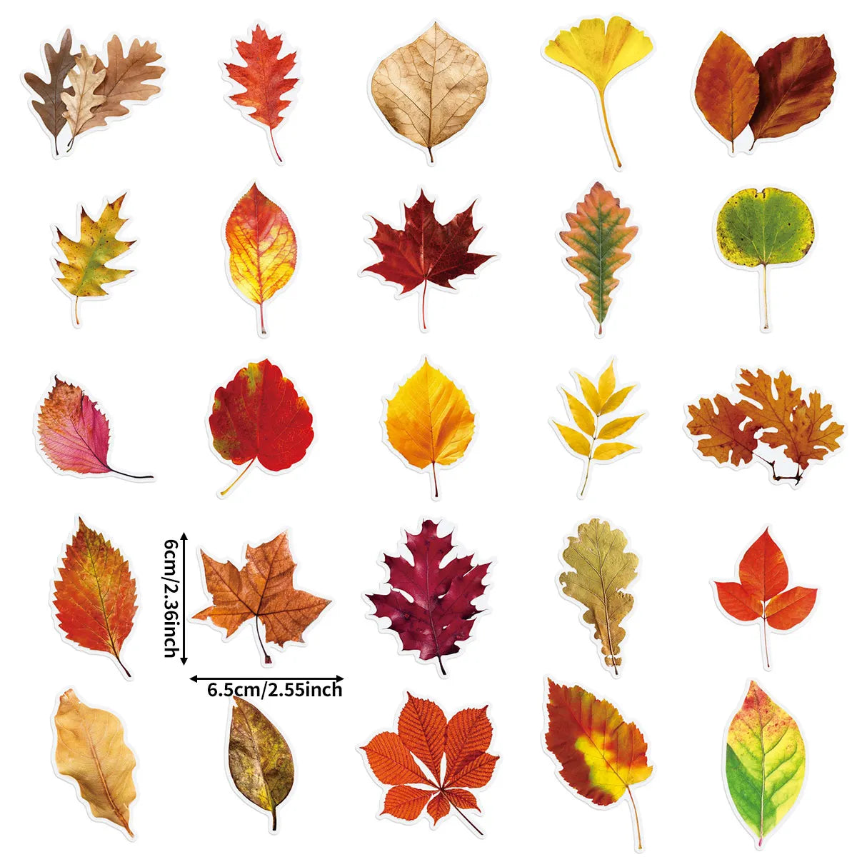 50-Piece Autumn Leaf Sticker Set – Maple & Oak