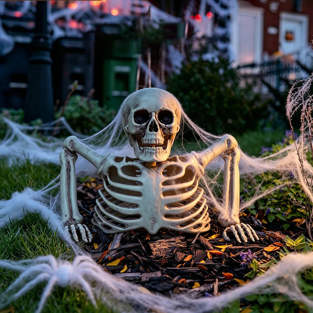 Half-Body Skeleton Halloween Prop – 2 Styles – Style A