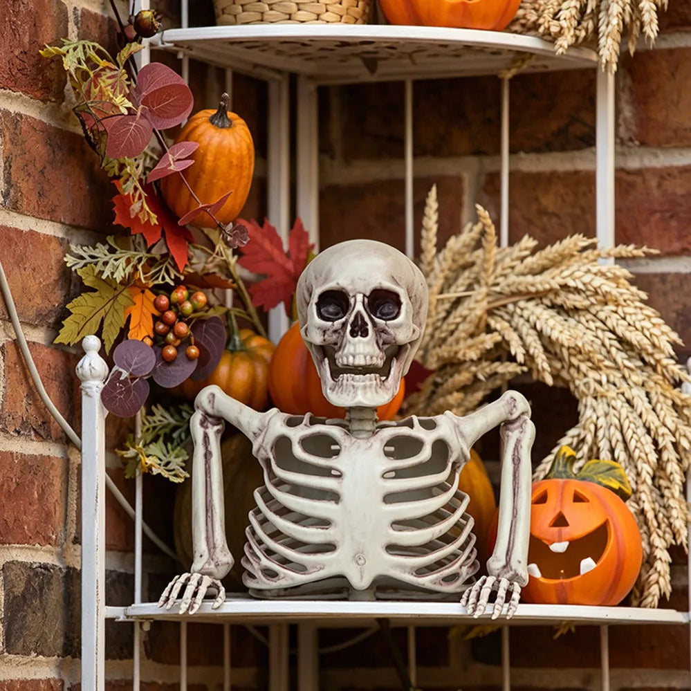 Half-Body Skeleton Halloween Prop – 2 Styles