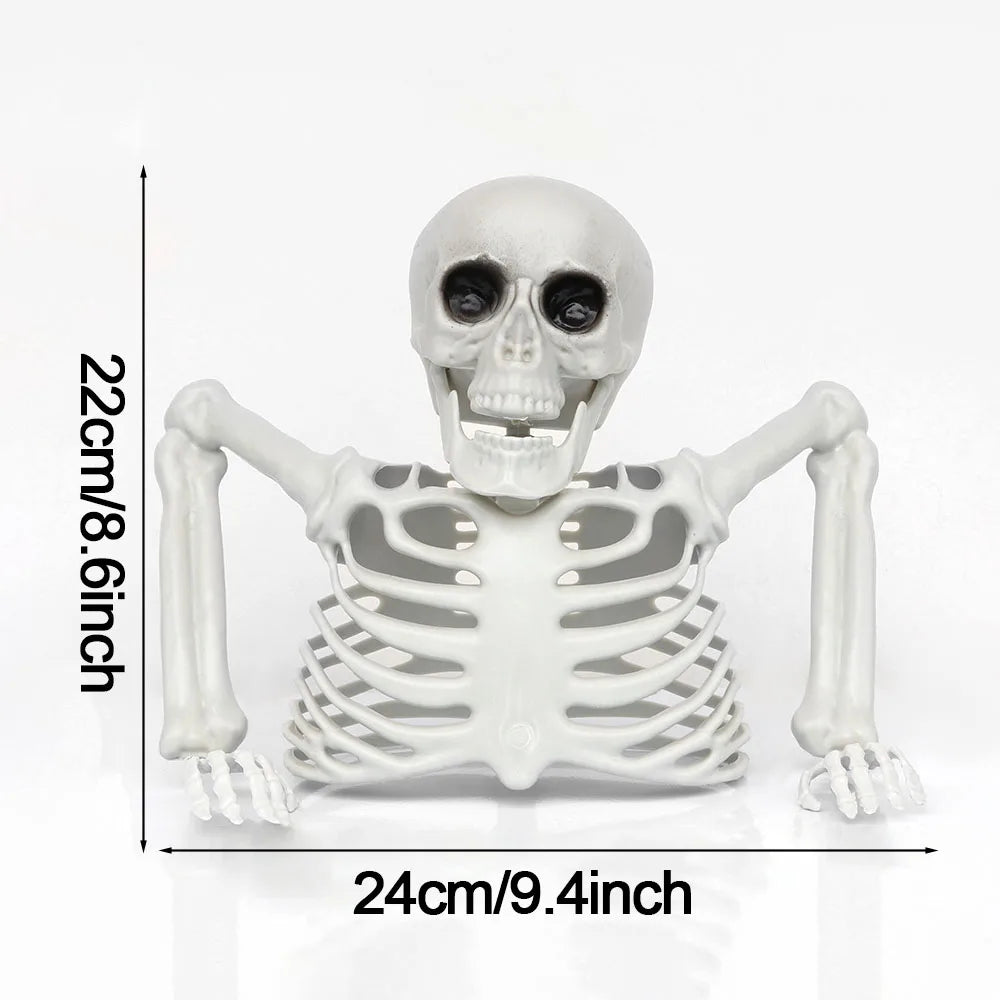 Half-Body Skeleton Halloween Prop – 2 Styles