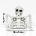 Half-Body Skeleton Halloween Prop – 2 Styles
