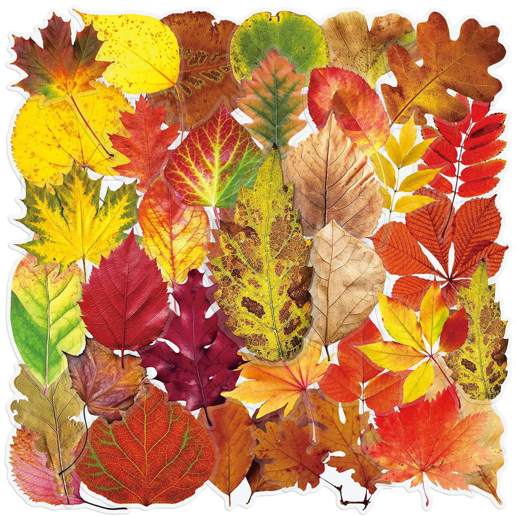 50-Piece Autumn Leaf Sticker Set – Maple & Oak