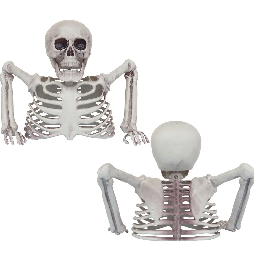 Half-Body Skeleton Halloween Prop – 2 Styles