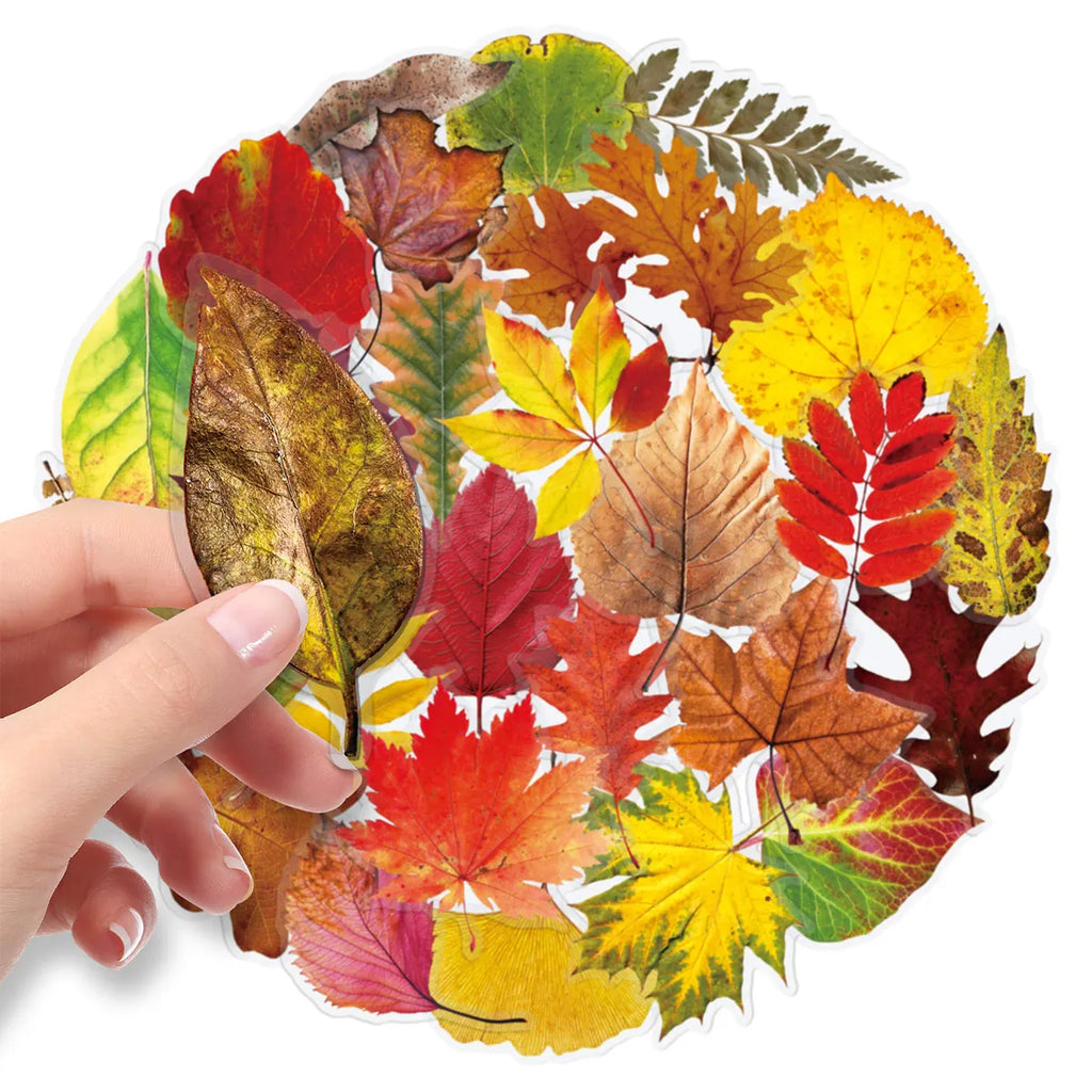 50-Piece Autumn Leaf Sticker Set – Maple & Oak