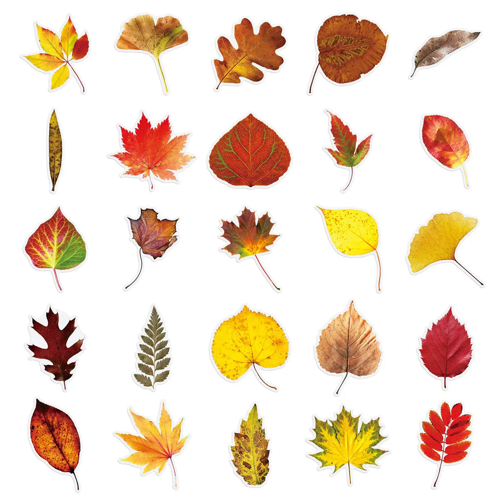 50-Piece Autumn Leaf Sticker Set – Maple & Oak