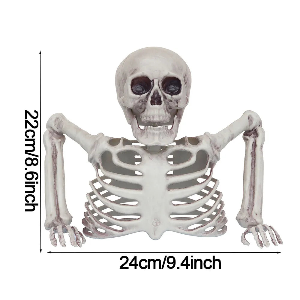 Half-Body Skeleton Halloween Prop – 2 Styles